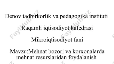 mehnat bozori va korxonalarda mehnat resurslaridan foydalanish — PPTX