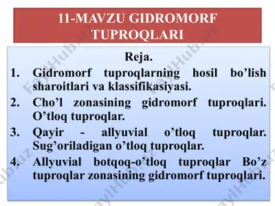 gidromorf tuproqlar — PPTX