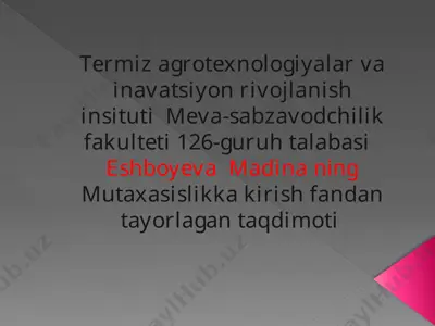 termizagrotexnologiyalar va inavatsiyon rivojlanishi instituti meva-sabzavodchilik fakulteti 126-guruh talabasi eshboyeva madina — PPTX