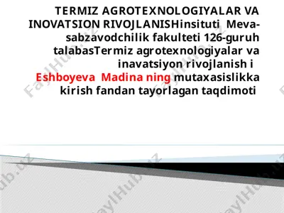 texnik ekinlar mahsulotlarini saqlash va dastlabki qayta ishlash texnologiyasi — PPTX