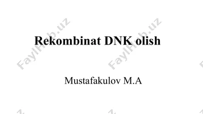 rekombinatsiya dnk olish — PPTX