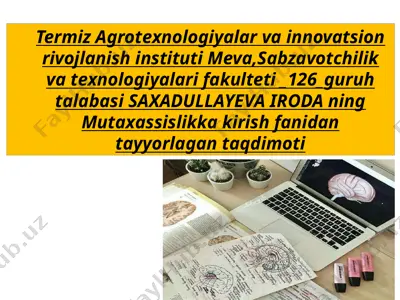 moyli ekinlarni saqlash va dastlabki qayta ishlash texnologiyasi — PPTX