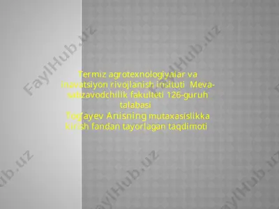 meva-sabzavotlar saqlash omborlari va ularni tashkil etishning turli usullari — PPTX