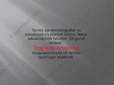 kartoshka saqlash texnologiyalari — PPTX