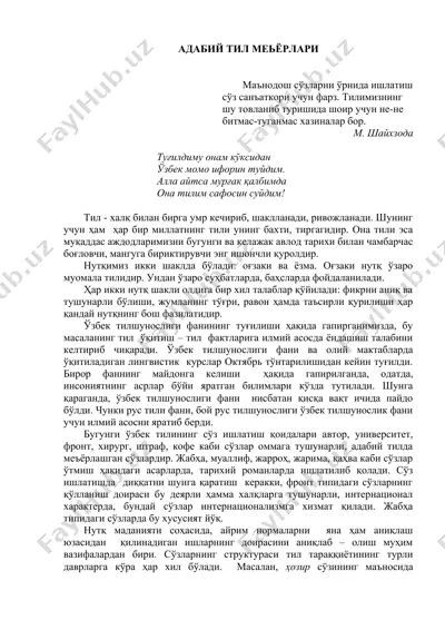 adabiy tili me'yorlari — DOCX