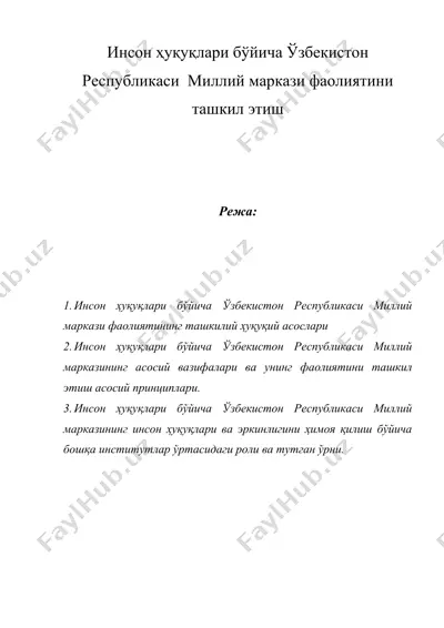 инсон ҳуқуқлари бўйича ўзбекистон республикаси миллий маркази фаолиятини ташкил этиш — DOC