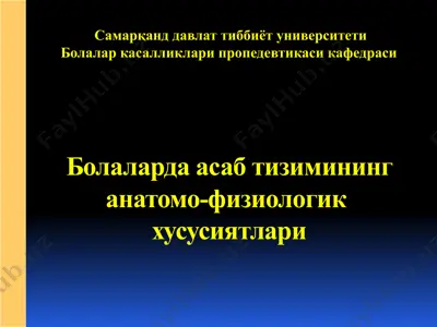 болаларда асабтизимининг анатомо-физиологик хусусиятлари — PPTX