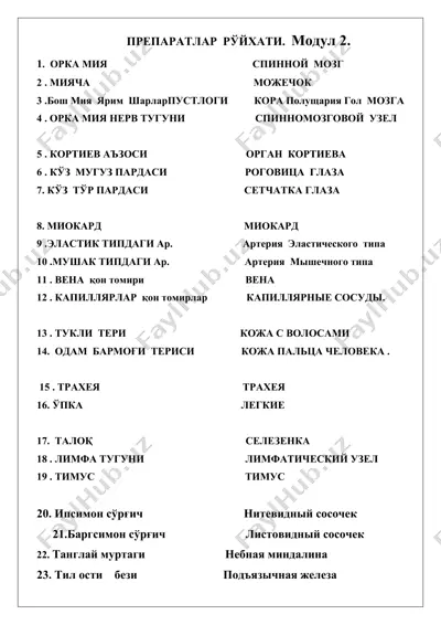 орка мия — DOCX
