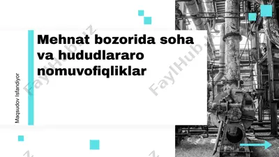 soha va hududlararo nomuvofiqliklar — PPTX