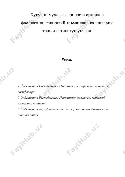 ҳуқуқни муҳофаза қилувчи органлар фаолиятини ташкилий таъминлаш ва ишларни ташкил этиш тушунчаси — DOC