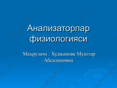 анализаторлар физиологияси — PPT