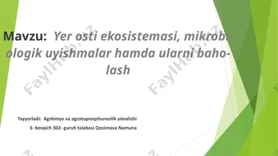 yerostiekosistemasi va mikrobiologik uyishmalar — PPTX