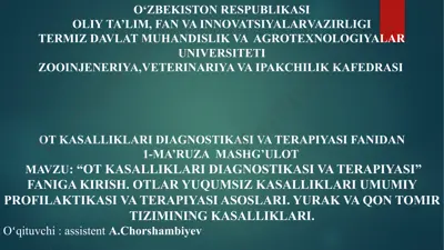 ot kasalliklari diagnostikasi va terapiyasi — PPTX