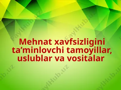 mehmatxavfsizligini ta’minlovchi tamoyillar, uslublar va vositalar — PPTX