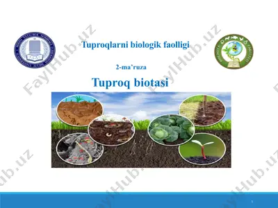 tuproqlarni biologik faolligi — PPT