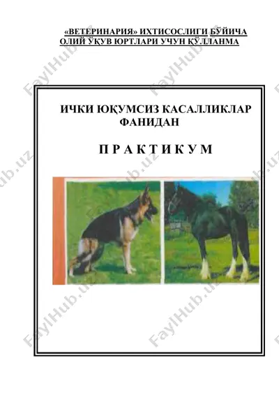ички юқумсиз касалликлар фанидан практикум — DOC