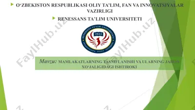 mamlakatlarning tasniflanishi va ularning jahon xo‘jaligidagi ishtiroki — PPTX