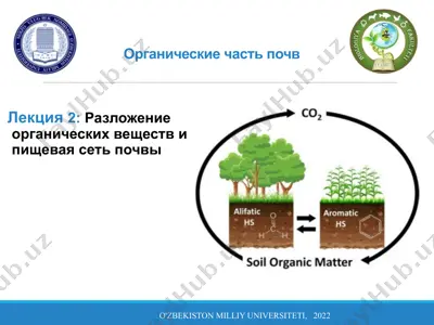 органические части почв — PPTX