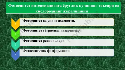 фотосинтез ва унинг механизми — PPTX