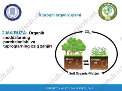 tuproqni organik qismi — PPTX
