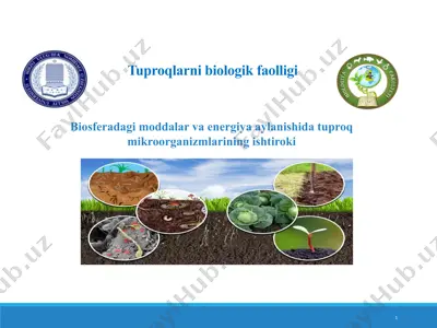 tuproqlarni biologik faolligi — PPT