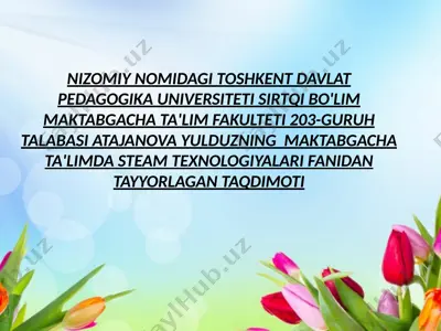 steam texnologiyalari fanidan tayyorlagan taqdimot — PPTX