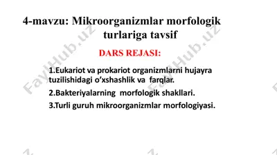 mikroorganizmlar morfologiyasi — PPTX