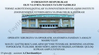 operativ xirurgiya mashg'uloti — PPTX
