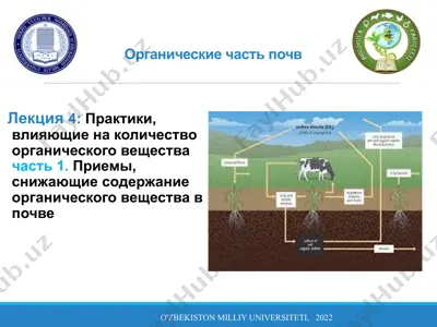 органические части почв — PPTX