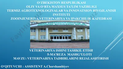veterinariya tadbirlarini rejalaştirish — PPTX