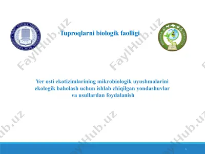 tuproqlarni biologik faolligi — PPT