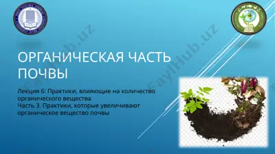 органическая часть почвы — PPTX
