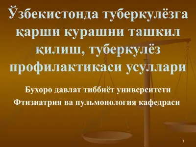 tuberkyulozga qarshi kurashni tashkil qilish, tuberkyuloz profilaktikasi usullari — PPT