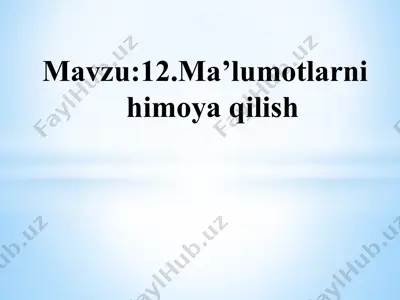 ma’lumotlarni himoya qilish — PPTX