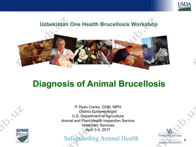 uzbekistan one health brucellosis workshop — PPTX