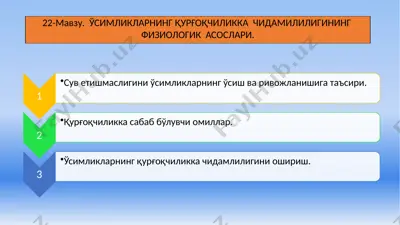 suving etishmasligi va o'simliklar — PPTX