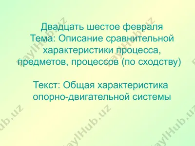 описание сравнительной характеристики опорно-двигательной системы — PPTX