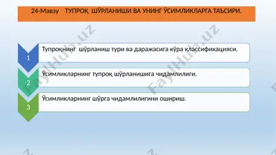 тупроқ шўрланиши ва унинг ўсимликларга таъсири — PPTX