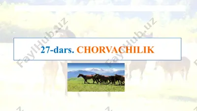 chorvachilik — PPTX