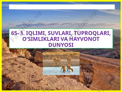 iqlimi, suvlari, tuproqlari, o‘simliklari va hayvonot dunyosi — PPTX