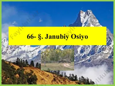 janubiy osiyo geografik o'rni — PPTX