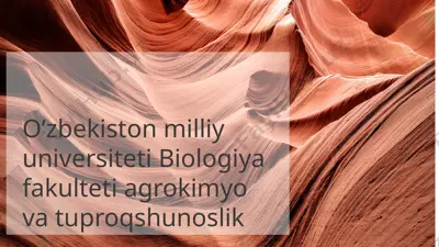tuproq morfologiyasi — PPTX