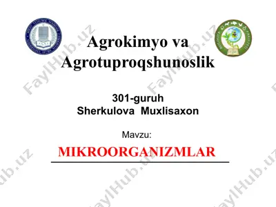 mikroorganizmlar — PPTX