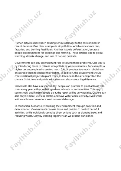 essay about environment — DOCX
