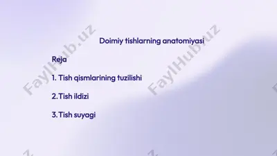 doimiytishlar anatomiyasi — PPTX