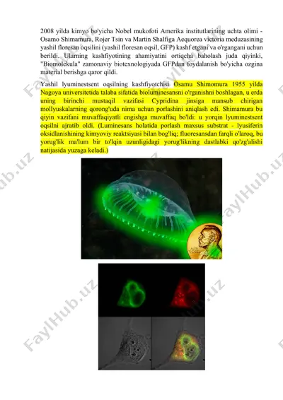 yashil lyuminestsent oqsil (gfp) — DOCX