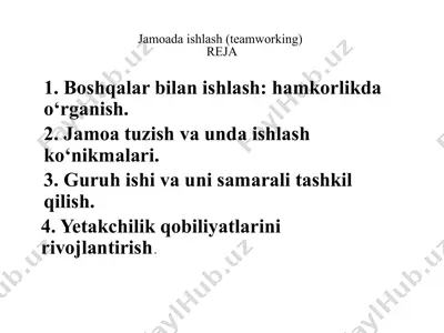 jamoada ishlash (teamworking) — PPTX