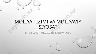 moliya tizimi va moliyaviy siyosat — PPT