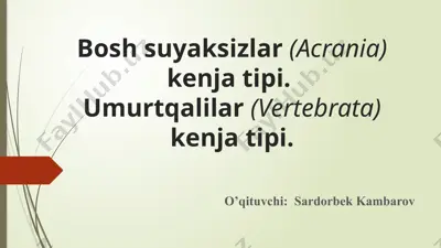bosh suyaksizlar (acrania) — PPTX