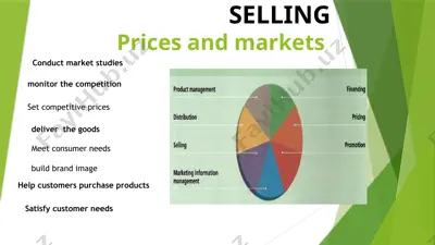 marketing and selling — PPTX